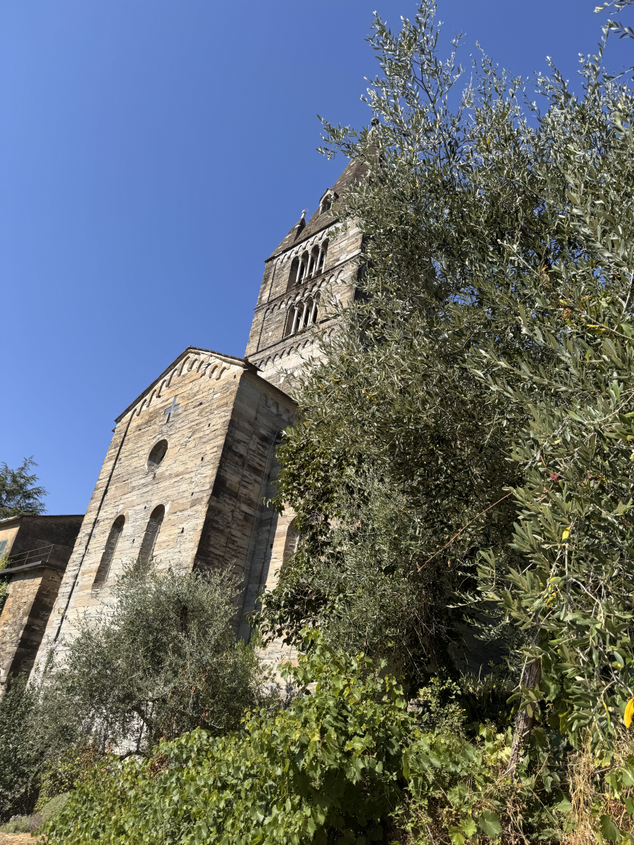 Secondary view