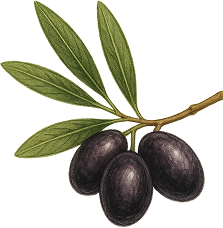 Rametto olive nere
