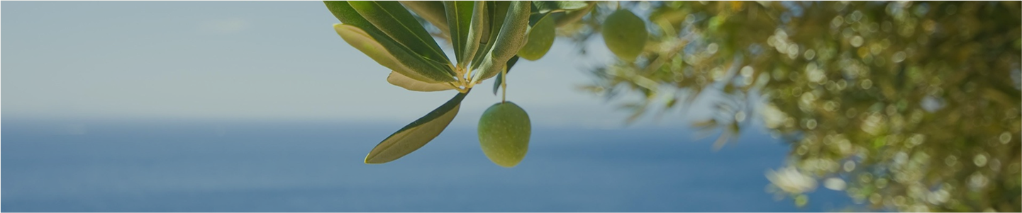 olive with sky
